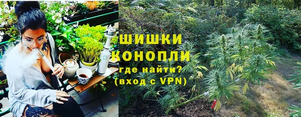 гидра Алексин